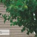 Сайдинг Ю-Пласт TIMBERBLOCK Пихта (Тимберблок) Cахалинская купить в Чайковском