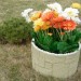 Цветник КАНЬОН купить в Чайковском